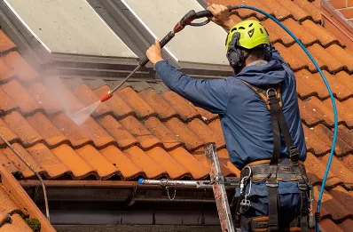 Démoussage et hydrofuge de toiture à Régusse